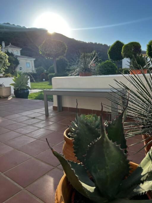 Ruim Appartement, Zonnig Terras, Alhaurin Golf! Alhaurin el Grande Exterior photo